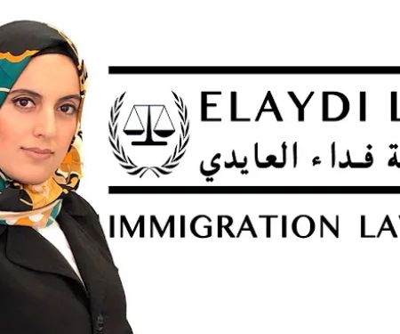 Elaydi Law, LLC