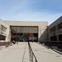 Law Office of Daniel Calandriello ico