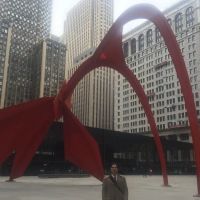 Criminal Defense Lawyer of Chicago ico