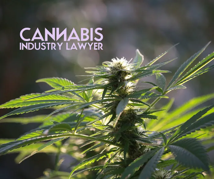 Cannabis Industry Lawyer | Howard Law Group Picture 6