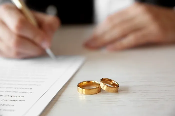 Merel Family Law - Divorce Lawyers Chicago Picture 8