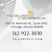Teller Levit & Silvertrust ico