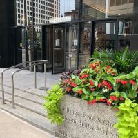 Windy City Legal, LLC ico
