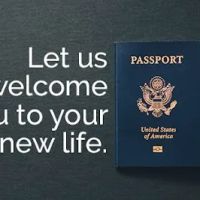 The Law Offices of The Immigration Professor ico