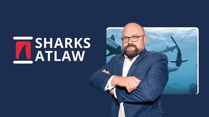 Sharks At Law Picture 6