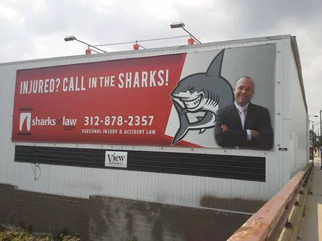 Sharks At Law Picture 3
