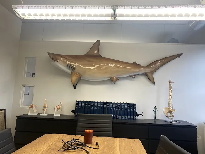 Sharks At Law Picture 1