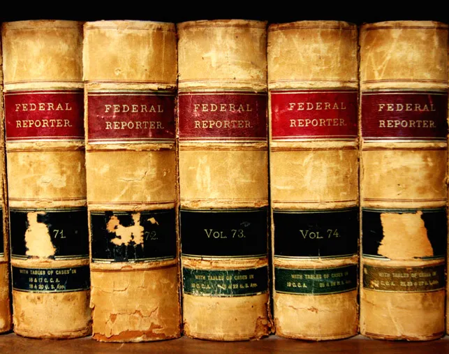 The Law Offices of David L. Salgado, P.C. Picture 3