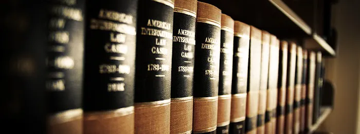 The Law Offices of David L. Salgado, P.C. Picture 4