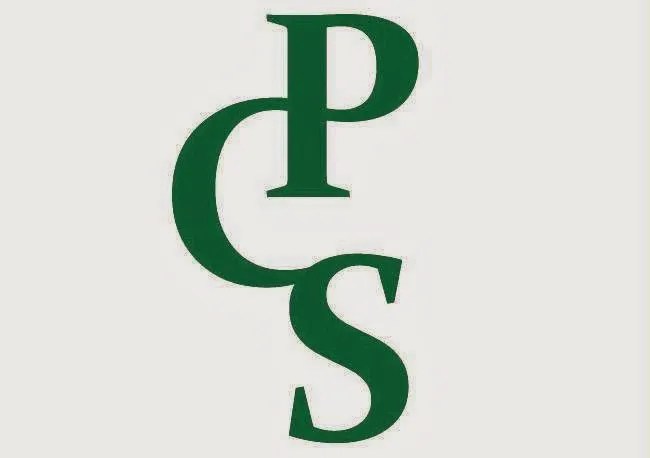Premier Capital Solutions Picture 1