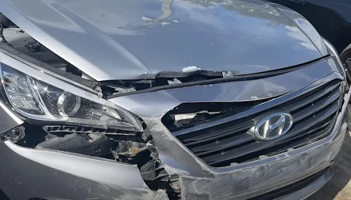 Talisha & Premeaux Law Group Auto Accident Lawyers Picture 2