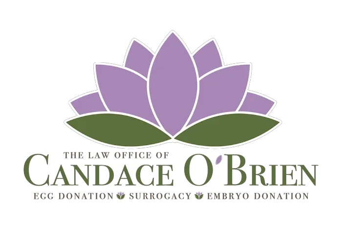 Law Office of Candace O'Brien Picture 1