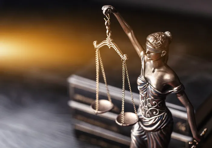 D&O Law Group, LLC Picture 4
