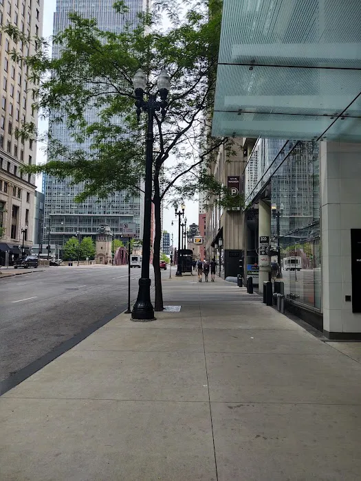 D'Arco Tax Resolution-Chicago, IL Picture 2