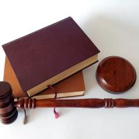 Levin & Associates ico