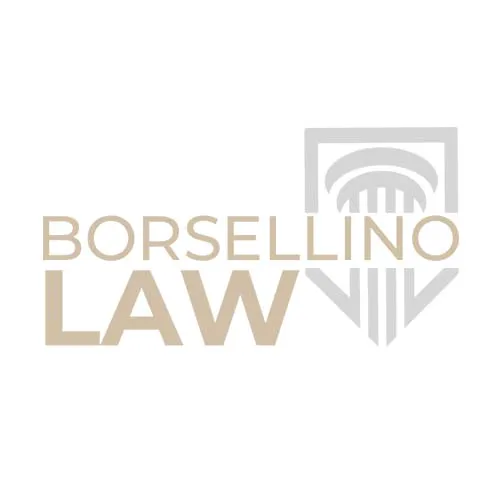 Borsellino Law & Mediation, LLC Picture 6