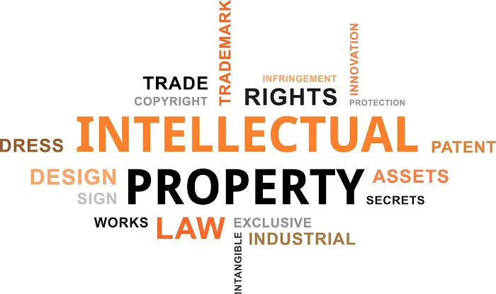 Chicago IP Law Picture 4
