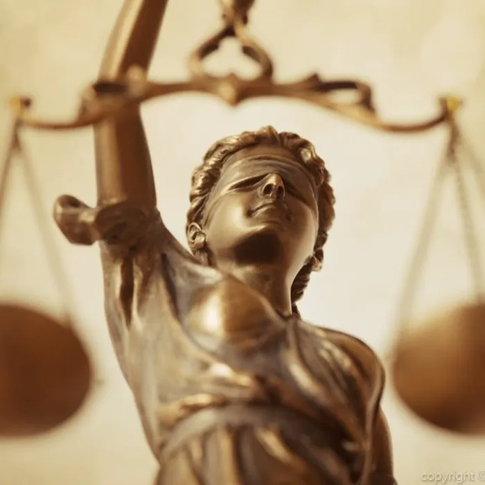 The Law Offices of David L. Salgado, P.C. Picture 5