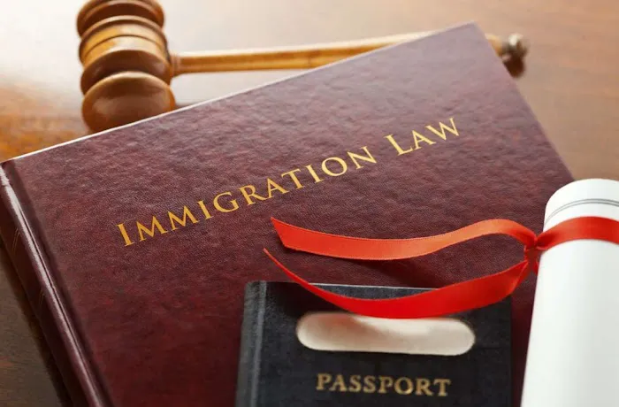 Freedom Immigration Picture 7