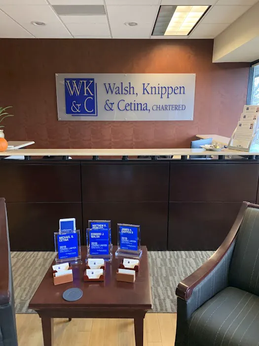 Walsh, Knippen & Cetina, Chartered Picture 5