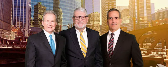 Walsh, Knippen & Cetina, Chartered Picture 4