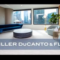 Schiller, Ducanto and Fleck ico