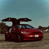 Carlin John ico