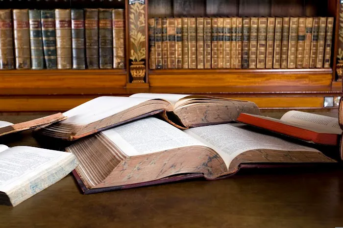 Bingham Law Picture 5