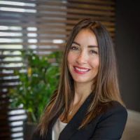 VF Law, Ltd. ico