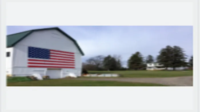 Suburban Appeal Inc Picture 10