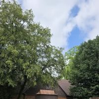 English Steven G ico