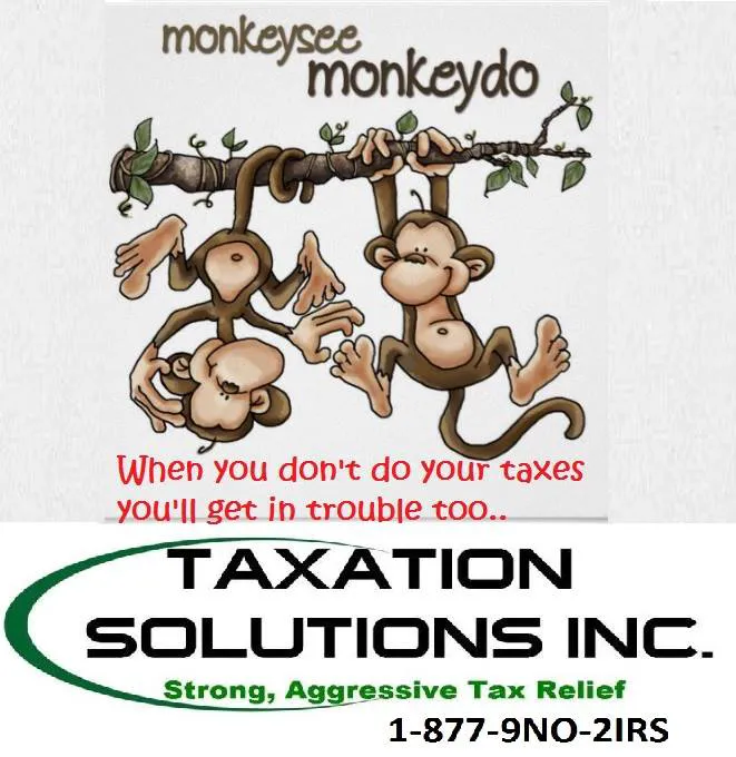 Taxation Solutions, Inc. Picture 2
