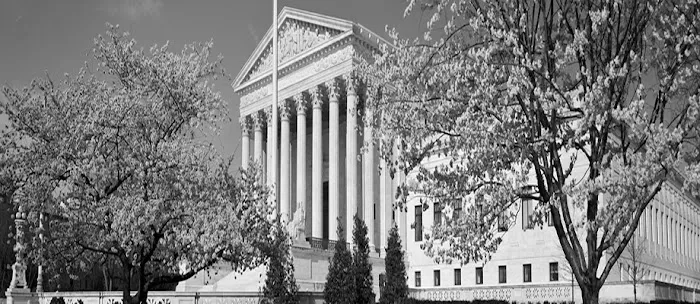 Lakeland Law Firm, LLC Picture 7