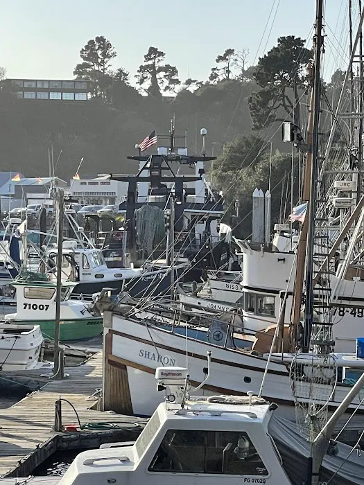BoatLaw, LLP Picture 10