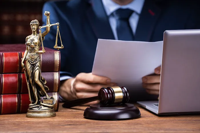 Omni Law Intellectual Property Attorney Picture 1