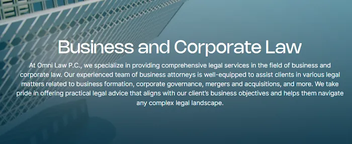 Omni Law Intellectual Property Attorney Picture 4