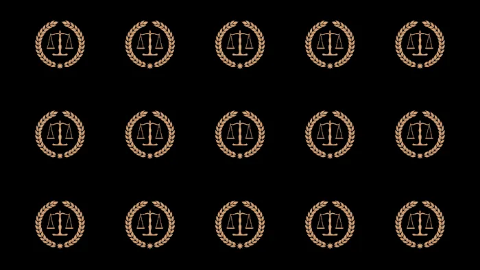 Moe Abdallah Law, P.C. Picture 2