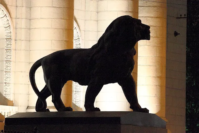 The Lion's Law Office Picture 1
