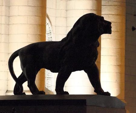 The Lion's Law Office