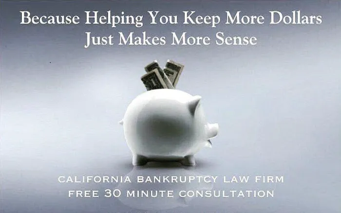 Law Office of Michael Salanick Picture 4