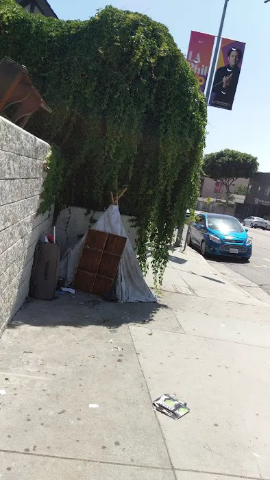 Los Angeles County District Attorney Picture 5