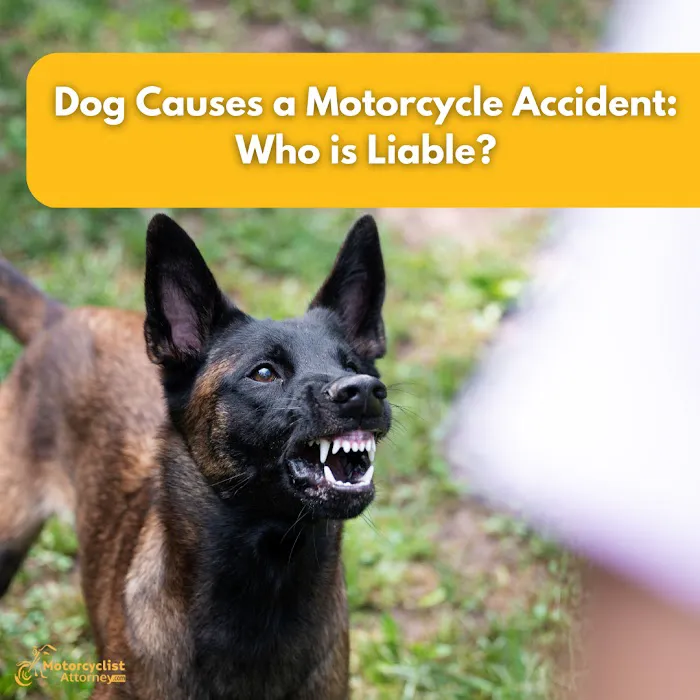 Motorcyclist Attorney Picture 9