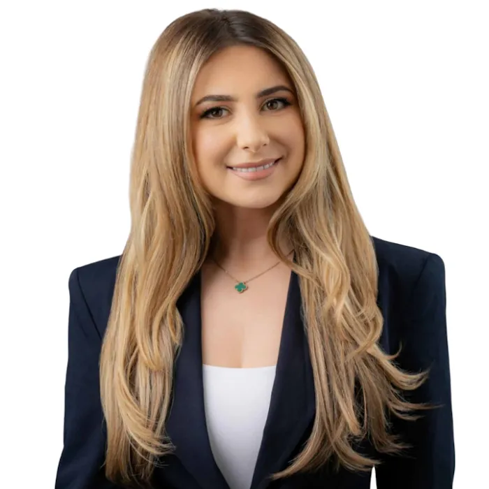 Moon Law Group, PC Picture 5