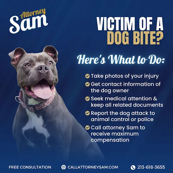 Attorney Sam - Personal Injury Lawyer Picture 8
