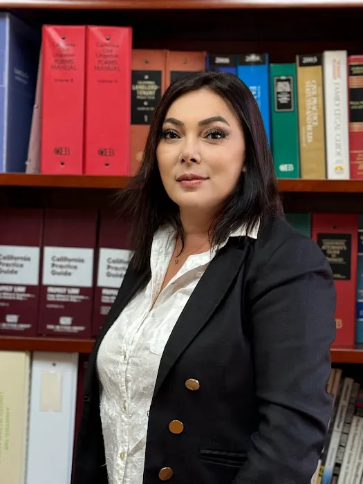 Law Offices of Liana Stepanyan Picture 9