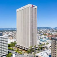 Criminal Lawyer Tony M. Seyfi Los Angeles ico