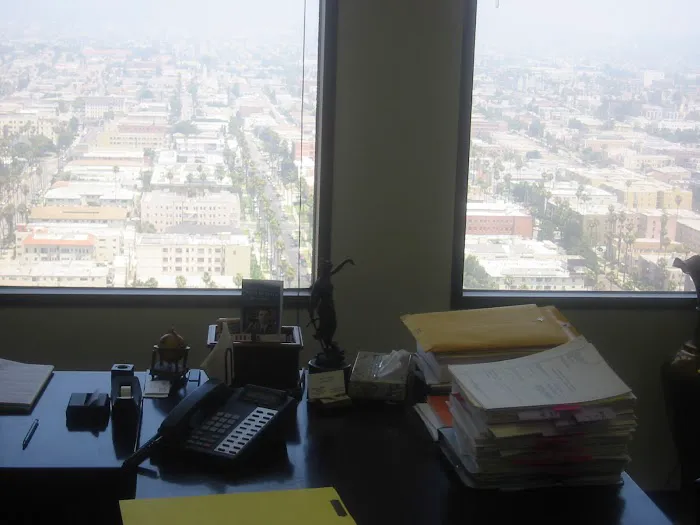 Criminal Lawyer Tony M. Seyfi Los Angeles Picture 4