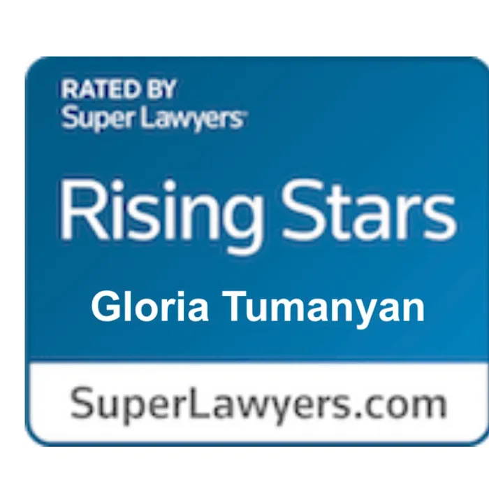 Tumanyan Law Firm, PC Picture 5