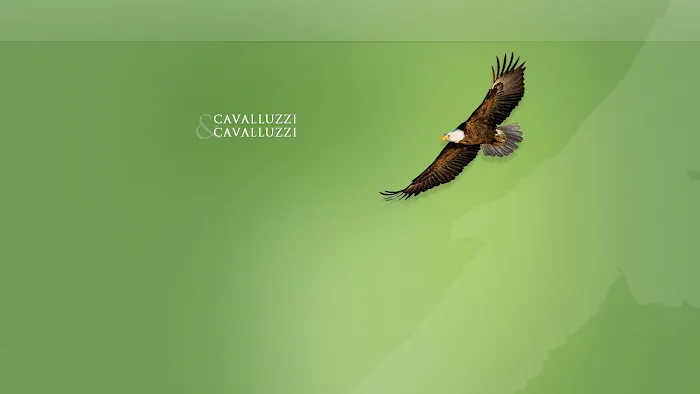 Cavalluzzi Law Picture 2
