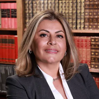 Law Offices of Niloufar H. Tash Picture 1